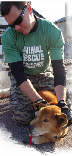 Ron Presley calms a dog whom he and team members rescued in Fukushima while Kinship Disaster Animal Response Team was deployed for the Japan Earthquake