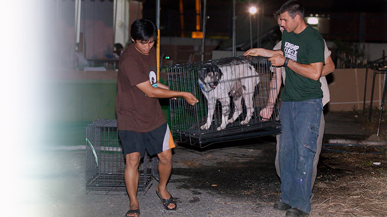 Blaine Whealy with SEF and rescue dog, (c) Kinship Circle