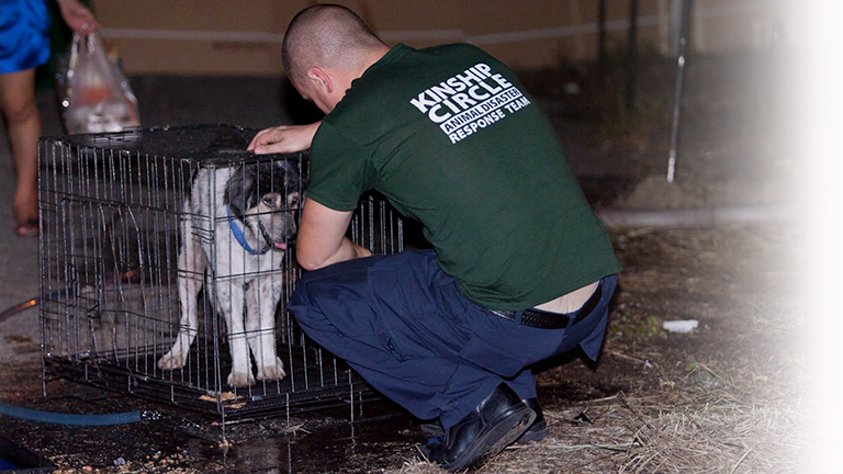 George McKeehan soothes a new rescue, (c) Kinship Circle