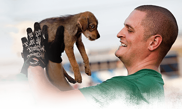Stranded Thailand flood dog, (c) Kinship Circle