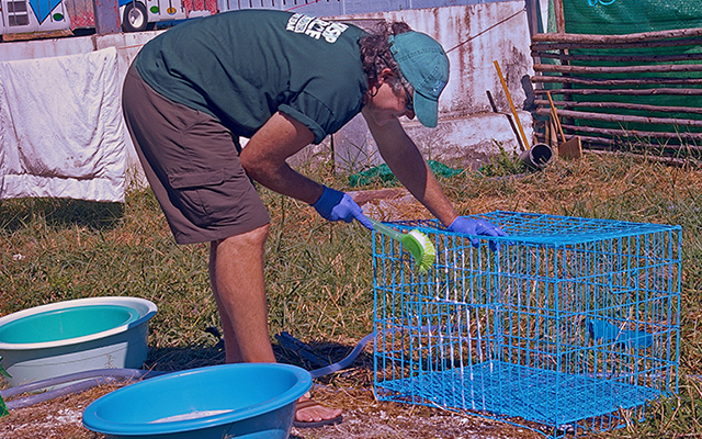 Grady Ballard cleans shelter bowls, cages (c) Kinship Circle