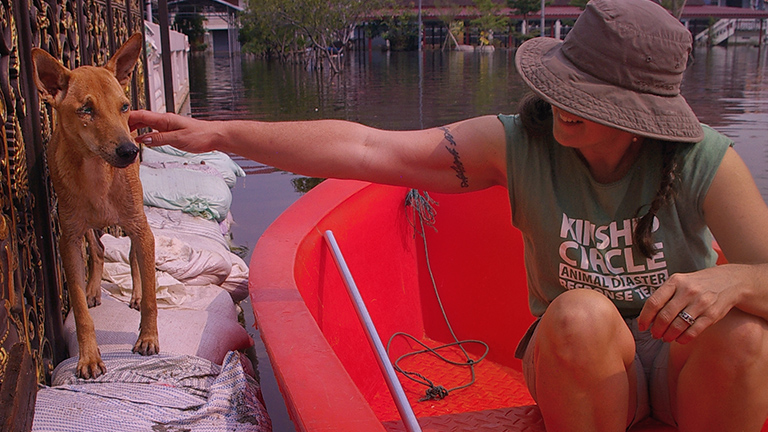 A dog is moved from sandbags in water, Kinship Circle