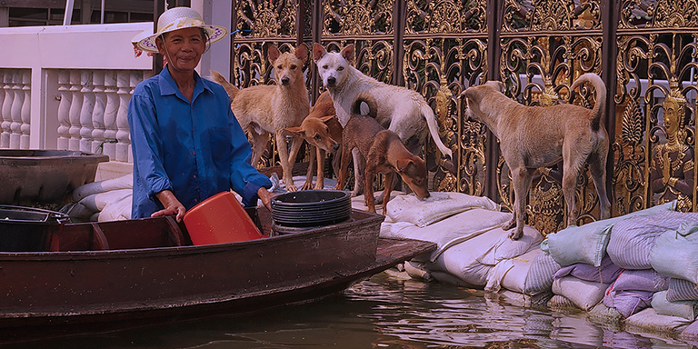 Yupreene feeds animals at the temple, (c) Kinship Circle