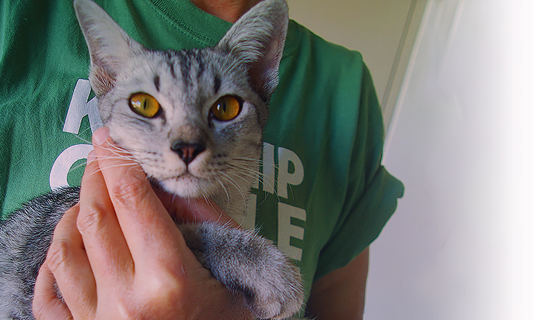 Beth Schmidt holds rescued cat (c) Kinship Circle
