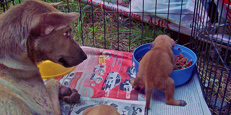 Mom watches over hungry junior, (c) Kinship Circle