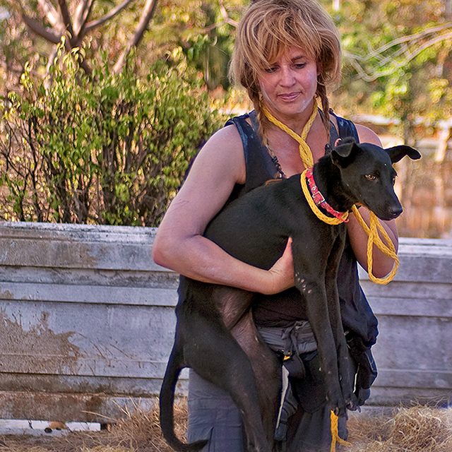 Brenda Shoss and black dog rescue, (c) Kinship Circle