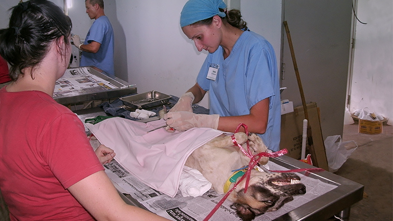 Surgery performed at the disaster shelter, Kinship Circle
