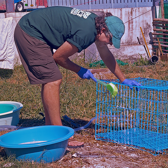 Grady Ballard does dog/cat dishes, (c) Kinship Circle
