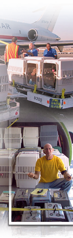 David Meyer aboard plane with Katrina rescues 239by770