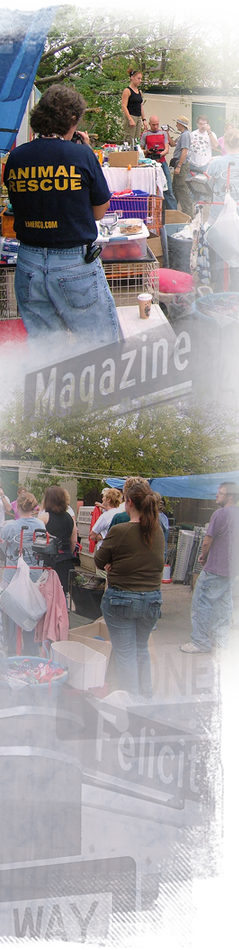 Holly Quaglia leads a daily meeting for original Animal Rescue New Orleans at its Magazine Street camp 239x950