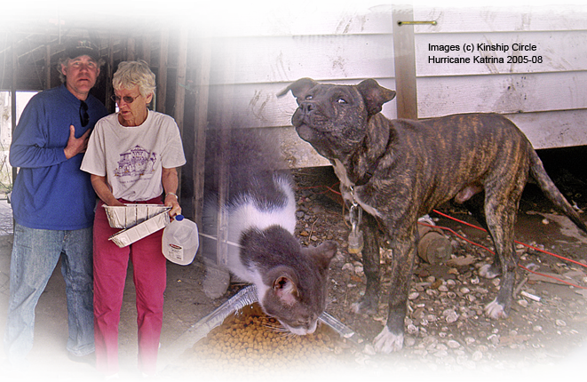 scenes from plaquemines, upper 9th ward after katrina 661by430