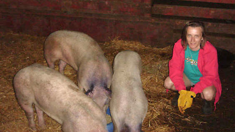 Cheri with rescued pigs