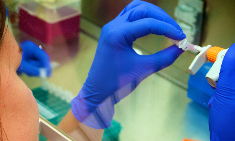 Non-Animal Research, Mapping The Human Toxome. Human-Toxome.com