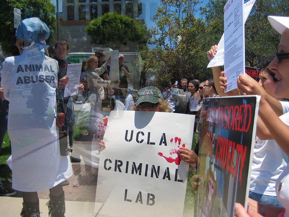 Kinship Circle joins Los Angeles demo against primate tests at UCLA. (c) Kinship Circle