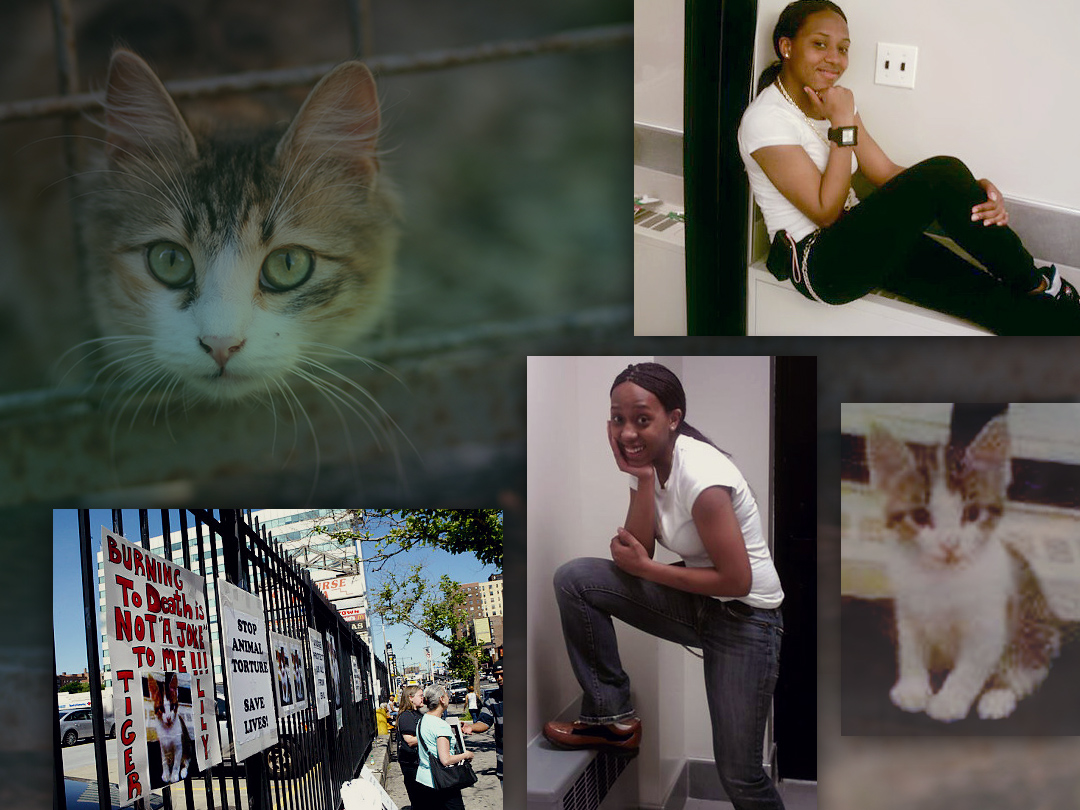 No deal for girl who roasted cat alive inside oven. Kinship Circle