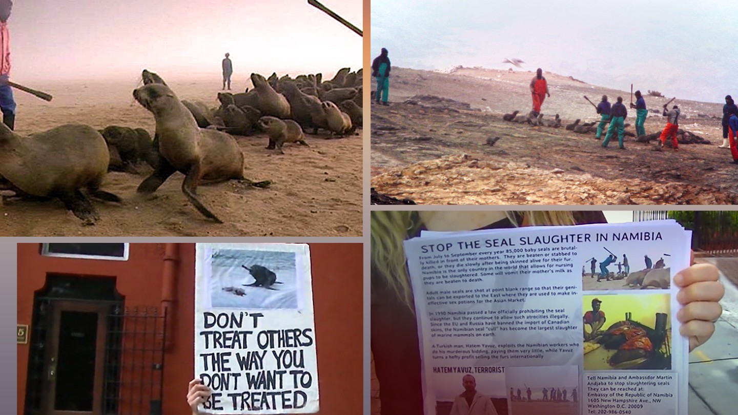 70-Namibia-Seal-Hunt